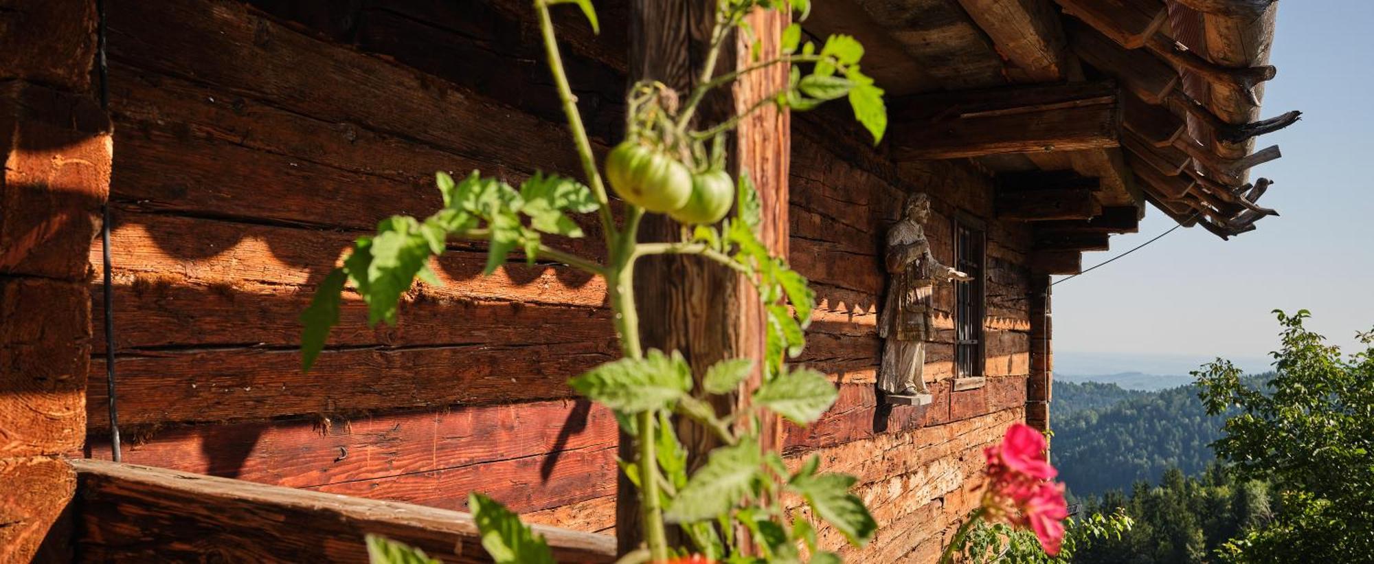 Chalets Toplak Sveti Duh na Ostrem Vrhu Экстерьер фото