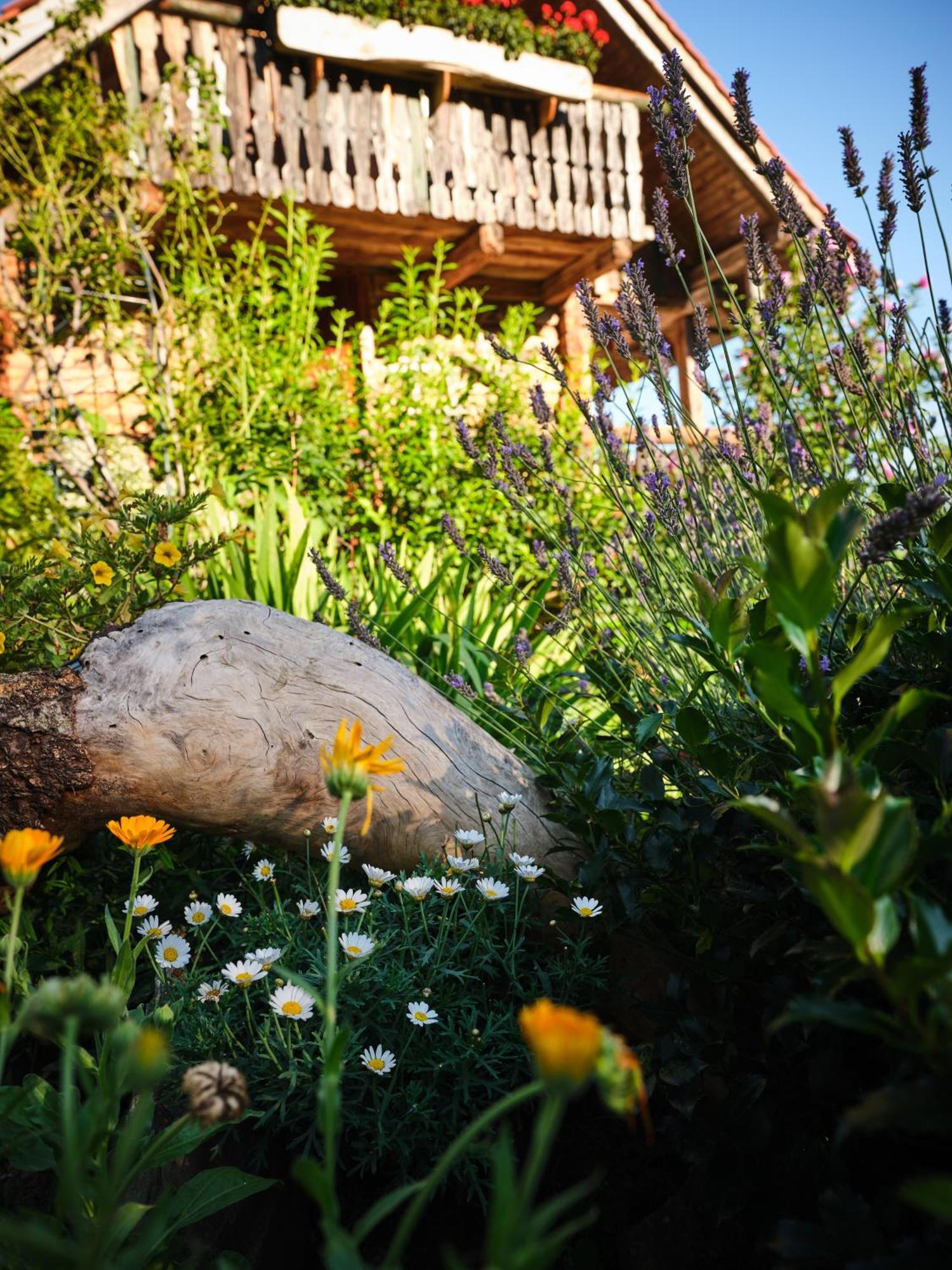 Chalets Toplak Sveti Duh na Ostrem Vrhu Экстерьер фото